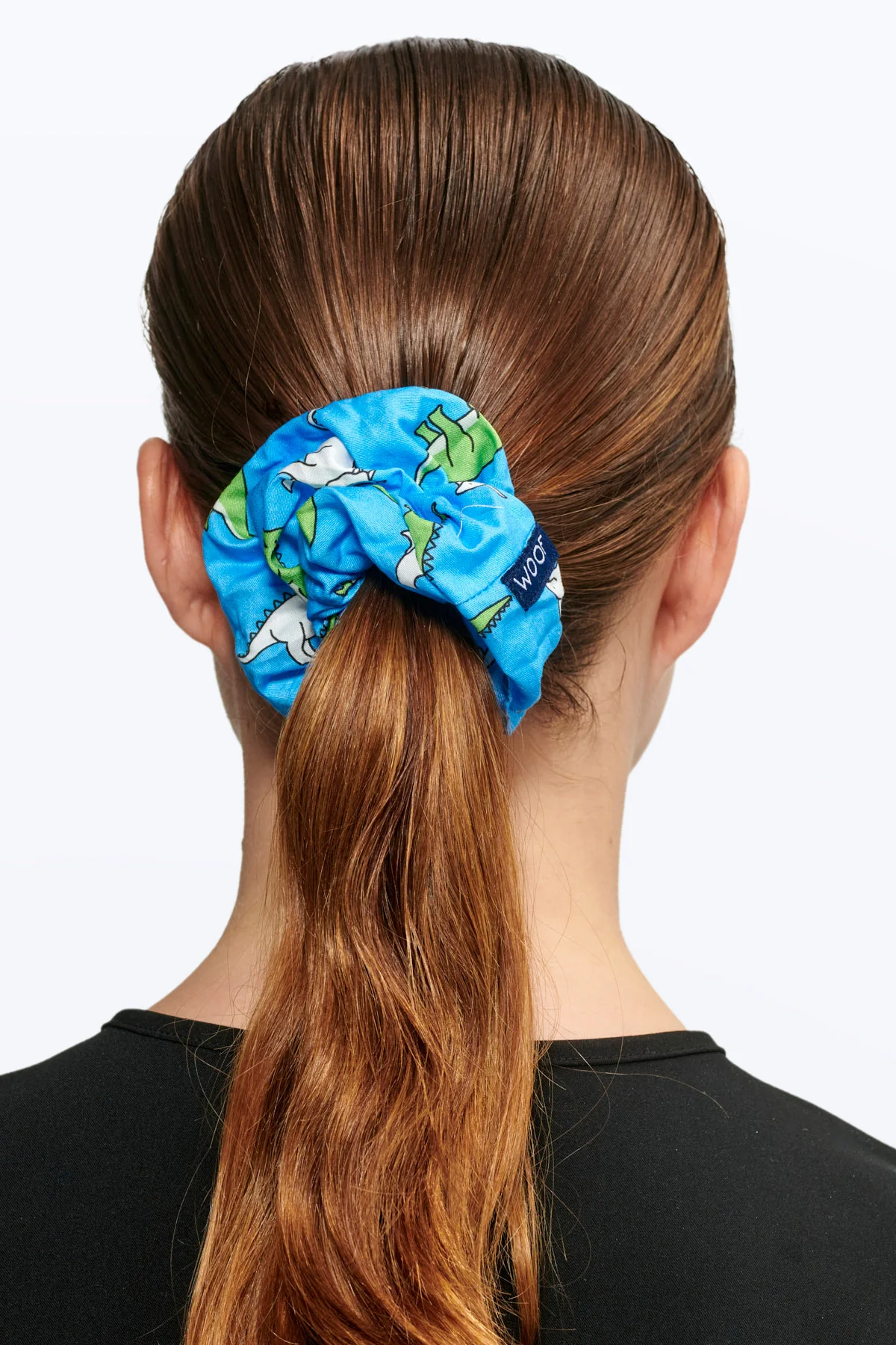 Dinosaurs Scrunchie - Image 3